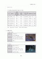 환타지 PC 게임 개발 제안서 및 기획서를 통한 마케팅 전략 35페이지