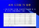 디지털 TV의 마케팅 경영 전략 분석 12페이지