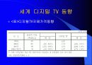 디지털 TV의 마케팅 경영 전략 분석 13페이지
