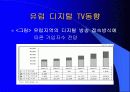디지털 TV의 마케팅 경영 전략 분석 19페이지
