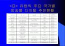 디지털 TV의 마케팅 경영 전략 분석 20페이지