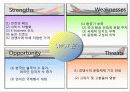 아시아나 항공의 SWOT분석 및 전략과 향후 문제점 및 개선방안 13페이지