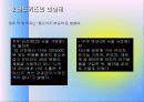 골드키즈 파워포인트 자료 8페이지