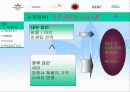 던힐 코리아의 한국 마케팅 경영 전략 분석 22페이지