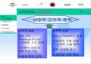 던힐 코리아의 한국 마케팅 경영 전략 분석 25페이지