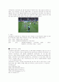 프리미어리그(EPL)에 관한 단상 4페이지