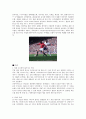 프리미어리그(EPL)에 관한 단상 7페이지