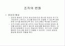 TQM과 QA의 통합 77페이지