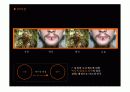 Perception case study 15페이지