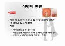 20대의 성병 6페이지