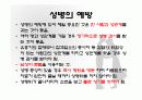 20대의 성병 20페이지