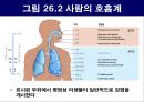 공기매개 병원균, 호흡기 질병 원인균 6페이지