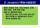 공기매개 병원균, 호흡기 질병 원인균 12페이지