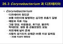 공기매개 병원균, 호흡기 질병 원인균 23페이지