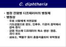 공기매개 병원균, 호흡기 질병 원인균 24페이지