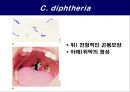 공기매개 병원균, 호흡기 질병 원인균 25페이지