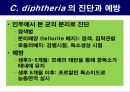 공기매개 병원균, 호흡기 질병 원인균 27페이지