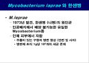 공기매개 병원균, 호흡기 질병 원인균 42페이지