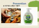 신종플루(Influenza)에 관한 ppt  13페이지