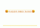 국내의 입양 현황과 필요성을 통한 개선 방안 분석 1페이지