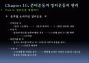 준비운동과 정리운동 20페이지