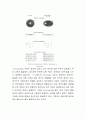 마이크로웨이브에너지를 이용한 CdS나노분말 합성 3페이지
