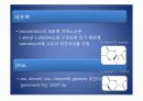 류코노스톡 발표ppt 7페이지