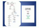 류코노스톡 발표ppt 11페이지