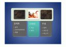 류코노스톡 발표ppt 19페이지
