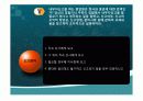 기업윤리 인사관리의 윤리 21페이지