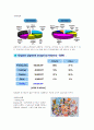 Pigment산업 3페이지