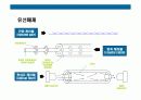 정보통신 시스템의 이해 12페이지