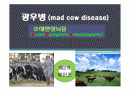 광우병에대하여 1페이지