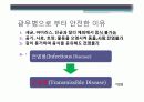 광우병에대하여 23페이지