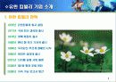 유한킴벌리의 환경경영 3페이지