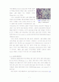바이오부탄올에 대하여 : 차세대 바이오연료 (SK에너지 강신영 부장 세미나를 바탕으로) 7페이지