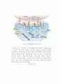 장기기억의 메커니즘-장기기억강화,장기기억저하(Mechanism of memory storage: Long-term potentiation and Long-term depression) 26페이지