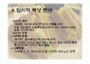 창업계획서 샌드위치 전문점 사업계획서 8페이지