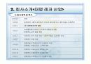 대명 리조트 관광정보시스템 5페이지