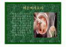 외식산업트랜드와 전망 4페이지
