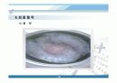 계란멀리던지기 - flying egg 26페이지