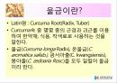 울금(강황)의 차이점, 특성, 효능, 식품의 이용 3페이지