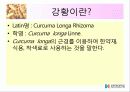 울금(강황)의 차이점, 특성, 효능, 식품의 이용 4페이지
