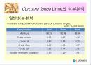 울금(강황)의 차이점, 특성, 효능, 식품의 이용 11페이지