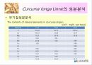 울금(강황)의 차이점, 특성, 효능, 식품의 이용 12페이지