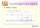 울금(강황)의 차이점, 특성, 효능, 식품의 이용 16페이지