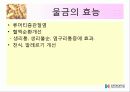 울금(강황)의 차이점, 특성, 효능, 식품의 이용 20페이지