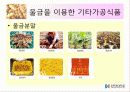 울금(강황)의 차이점, 특성, 효능, 식품의 이용 29페이지