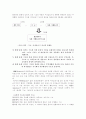   기호와 이데올로기  5페이지