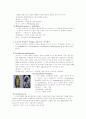 적조(바다의 검은 독) 3페이지
